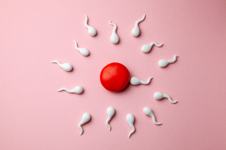Semen and sperm